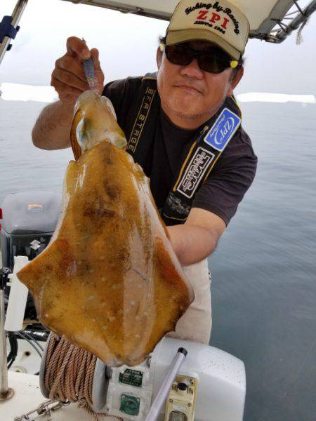 ソルトウォーターガイドフレンズ 釣果