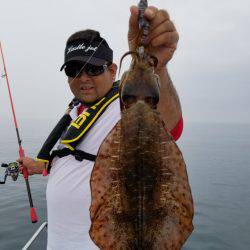 ソルトウォーターガイドフレンズ 釣果