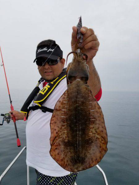 ソルトウォーターガイドフレンズ 釣果