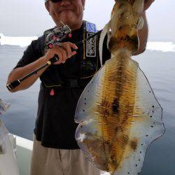 ソルトウォーターガイドフレンズ 釣果