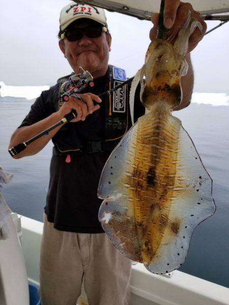 ソルトウォーターガイドフレンズ 釣果