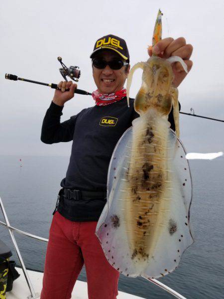 ソルトウォーターガイドフレンズ 釣果