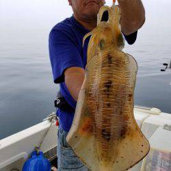 ソルトウォーターガイドフレンズ 釣果