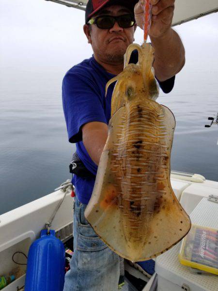 ソルトウォーターガイドフレンズ 釣果