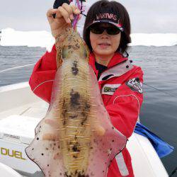 ソルトウォーターガイドフレンズ 釣果