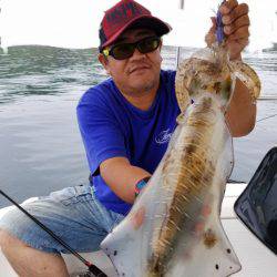 ソルトウォーターガイドフレンズ 釣果