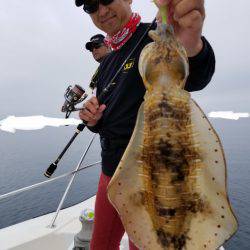 ソルトウォーターガイドフレンズ 釣果