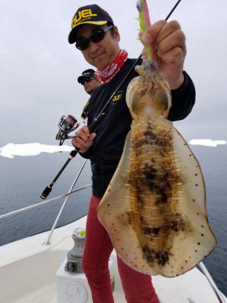 ソルトウォーターガイドフレンズ 釣果