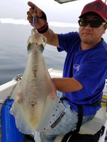 ソルトウォーターガイドフレンズ 釣果