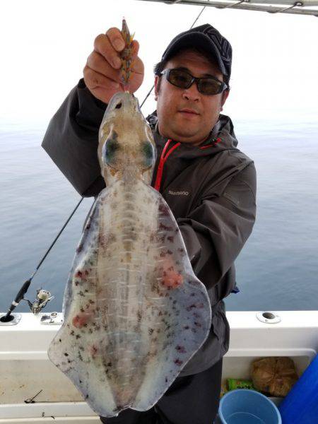 ソルトウォーターガイドフレンズ 釣果