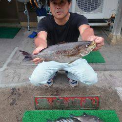 幕島丸 釣果