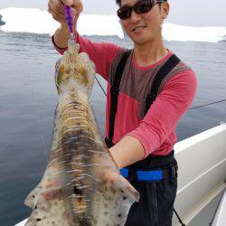 ソルトウォーターガイドフレンズ 釣果