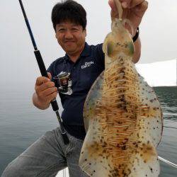 ソルトウォーターガイドフレンズ 釣果