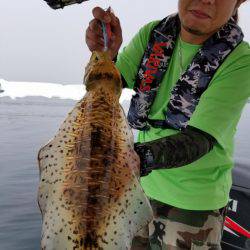 ソルトウォーターガイドフレンズ 釣果