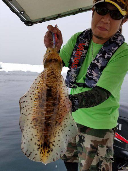 ソルトウォーターガイドフレンズ 釣果