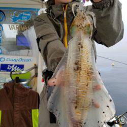 ソルトウォーターガイドフレンズ 釣果