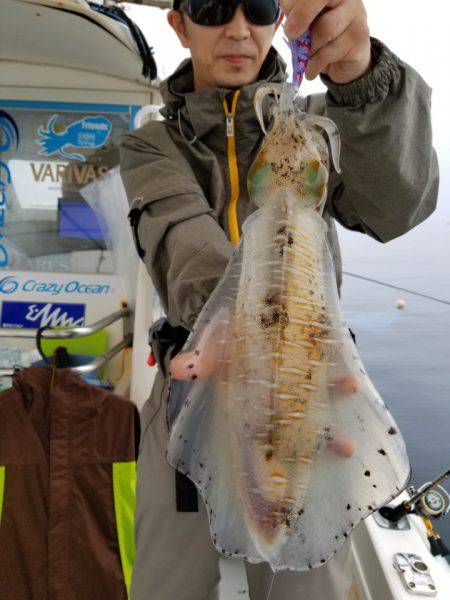 ソルトウォーターガイドフレンズ 釣果