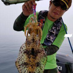 ソルトウォーターガイドフレンズ 釣果