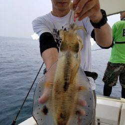 ソルトウォーターガイドフレンズ 釣果