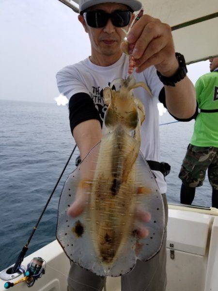 ソルトウォーターガイドフレンズ 釣果