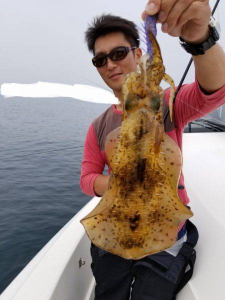 ソルトウォーターガイドフレンズ 釣果