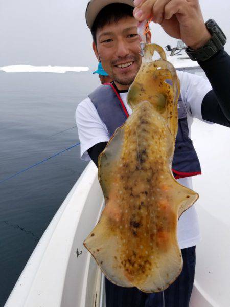 ソルトウォーターガイドフレンズ 釣果