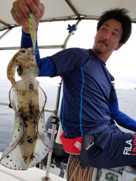 ソルトウォーターガイドフレンズ 釣果