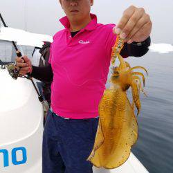 ソルトウォーターガイドフレンズ 釣果