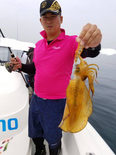 ソルトウォーターガイドフレンズ 釣果