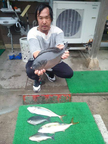 幕島丸 釣果