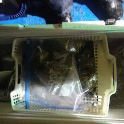 海龍丸（石川） 釣果