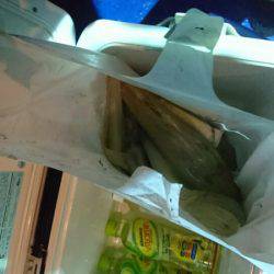 海龍丸（石川） 釣果