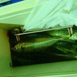 海龍丸（石川） 釣果