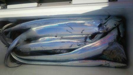 サンマリン 釣果