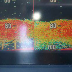 サンマリン 釣果