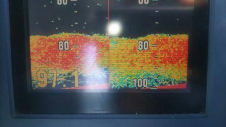 サンマリン 釣果