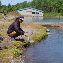 つりぼりあかし 釣果