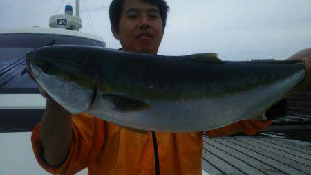 サンマリン 釣果