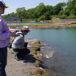 つりぼりあかし 釣果