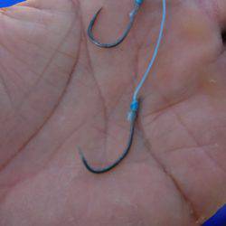 まるいち丸 ZERO-1 釣果