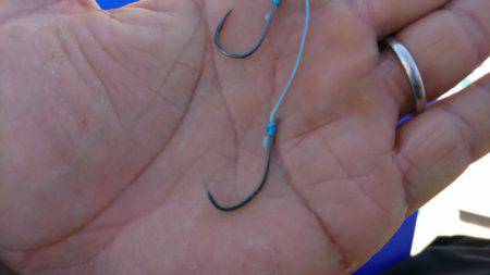 まるいち丸 ZERO-1 釣果