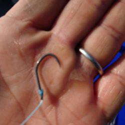 まるいち丸 ZERO-1 釣果