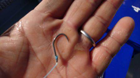 まるいち丸 ZERO-1 釣果