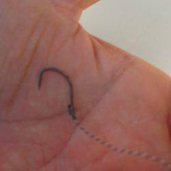 まるいち丸 ZERO-1 釣果