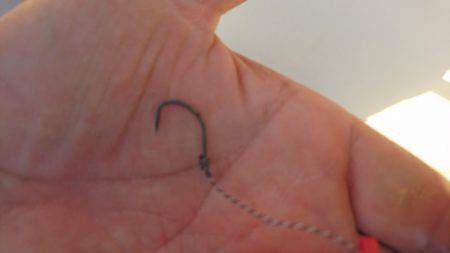 まるいち丸 ZERO-1 釣果