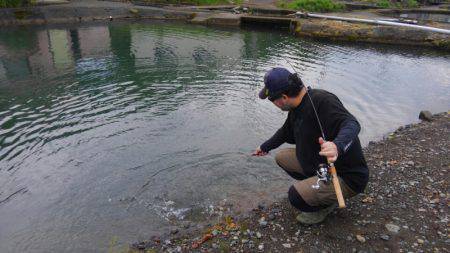 つりぼりあかし 釣果
