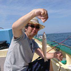 島きち丸 釣果