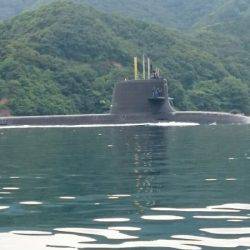 ARCADIAⅡ （アルカディアⅡ） 釣果