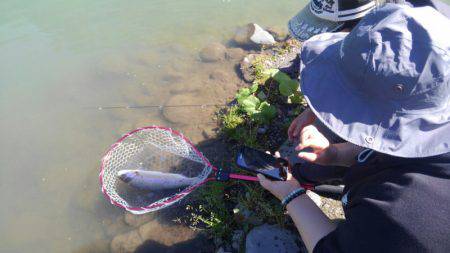 つりぼりあかし 釣果