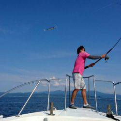 サンマリン 釣果